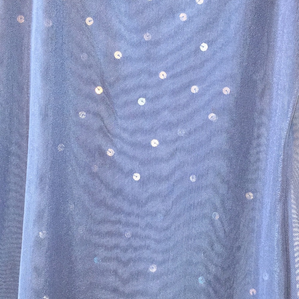 🚫SOLD🚫Sequined Tank Top - Picture 2 of 5